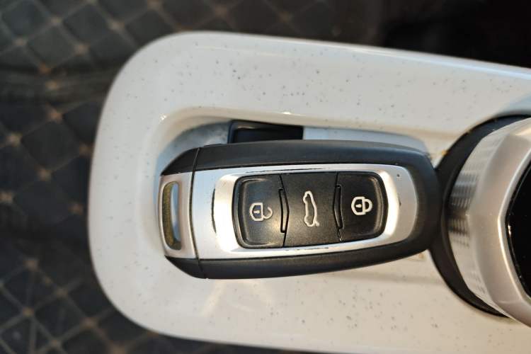 Used  Panda 2024 Panda Mini 200km Endurance Bear
