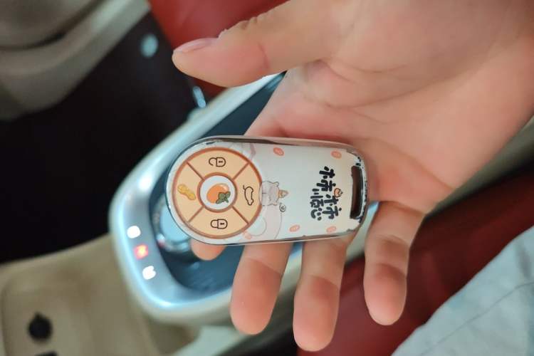 Used ORA Good Cat 2021 400km Standard Range Athena Edition Lithium Iron Phosphate