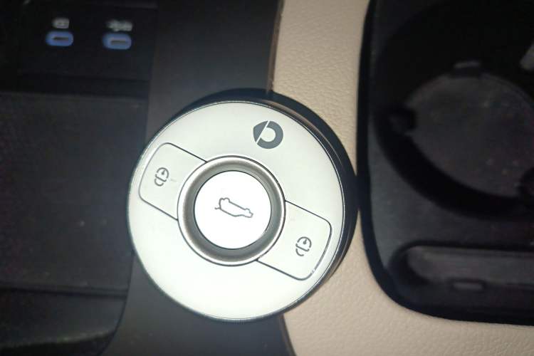 Used  #1 2022 Pulse Heartbeat Edition