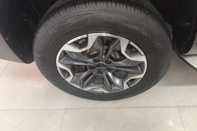 Used Haval DARGO 2022 2.0T DCT 4x4 Chinese Rural Dog Hunting Edition