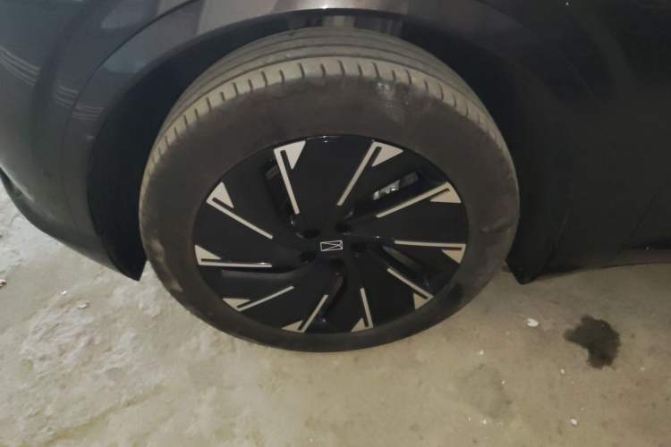 Used  07 2024 Pro Pure Electric Version