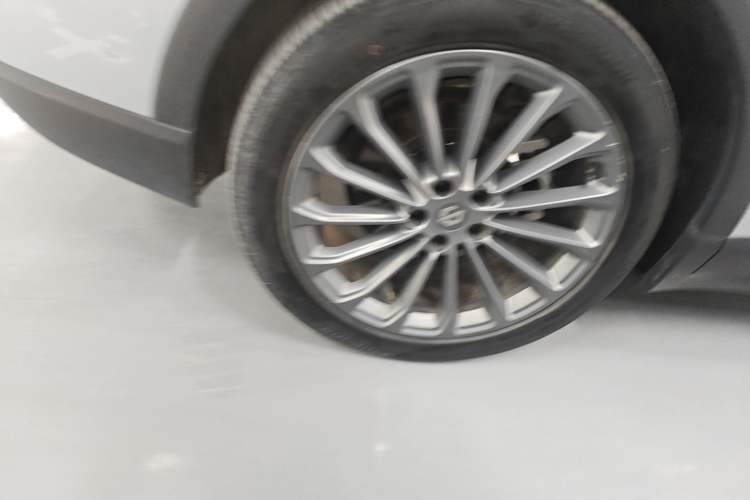 Used Leapmotor C11 2024 All-Electric 580 Luxury Edition
