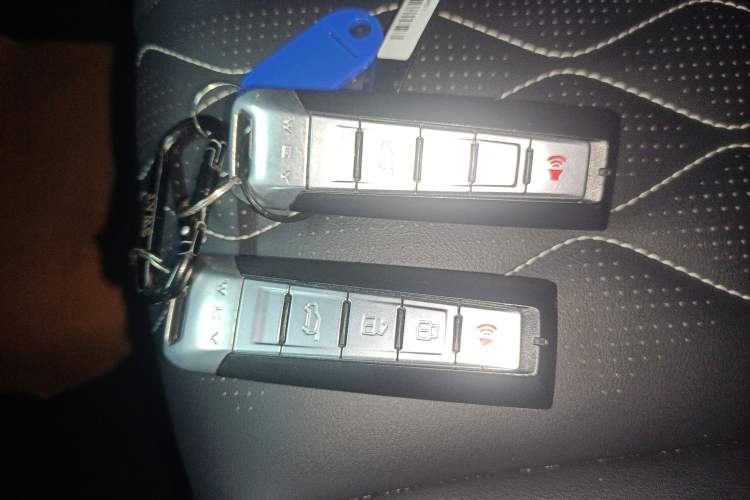 Used Tank 300 2021 Off-Road Edition 2.0T Challenger
