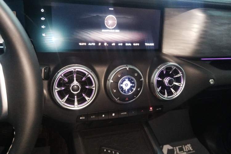 Used Tank 300 2024 2.0T Challenger
