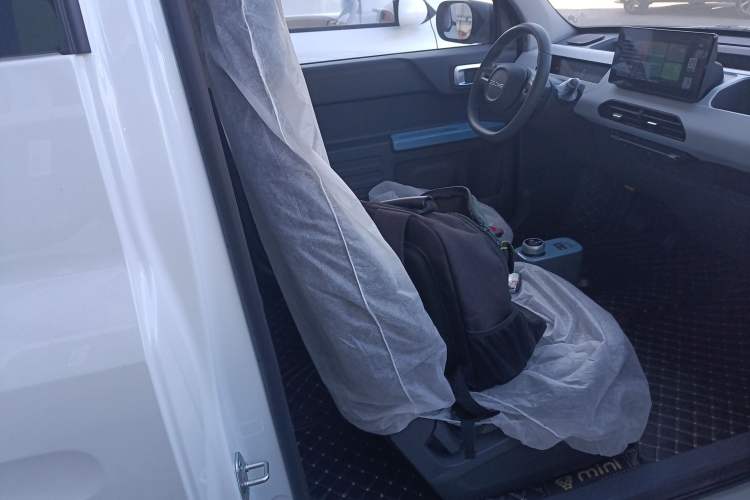 Used  Panda 2024 Panda Mini 200km Endurance Bear