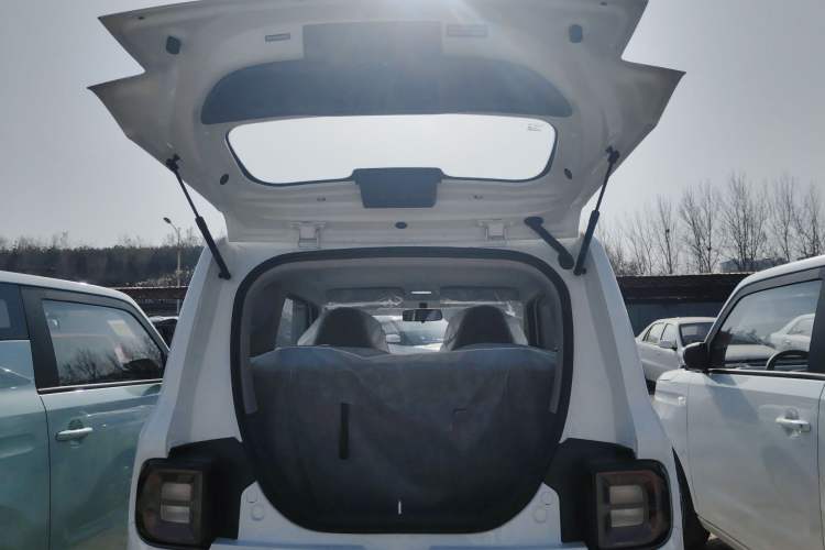 Used  Panda 2024 Panda Mini 200km Endurance Bear
