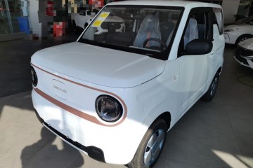 Used Geely Galaxy Panda 2024 Panda Mini 200km Endurance Bear