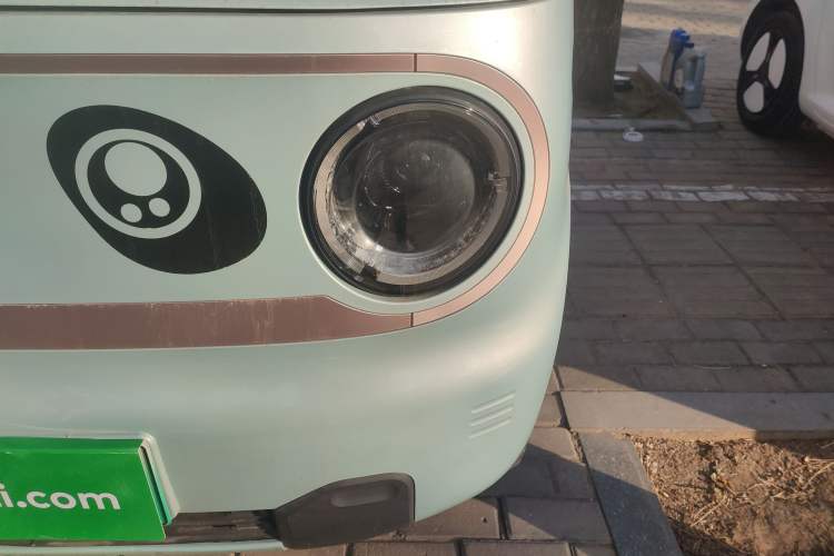 Used  Panda 2023 Panda Mini 200km Dynamic Bear