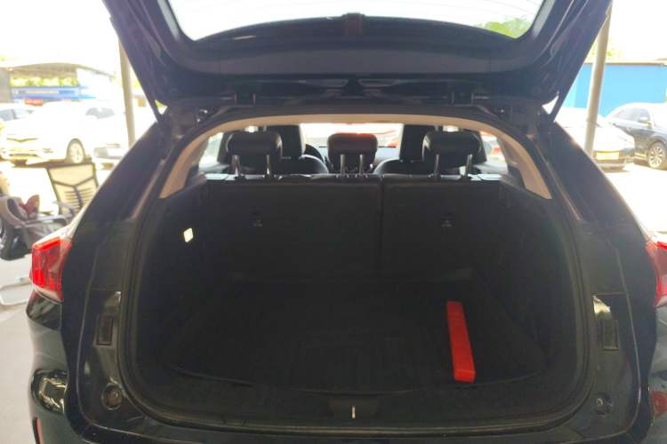 Used Wey VV5 2019 2.0T Two-Wheel-Drive Ultimate Edition