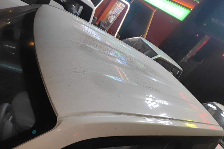 Used  Panda 2024 Panda Mini 200km Endurance Bear
