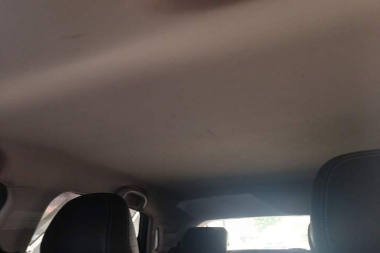 Used NETA V 2021 Witch Edition
