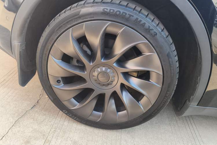 Used Tesla Model Y 2021 Standard Range Rear-Wheel Drive Version
