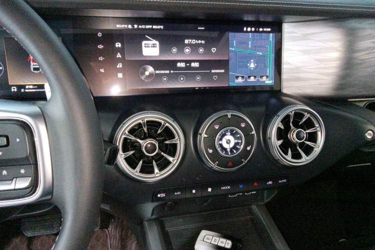 Used Tank 300 2024 2.0T Conqueror