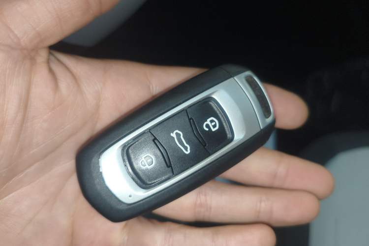 Used  Panda 2025 210 km – Yuanqi Bear
