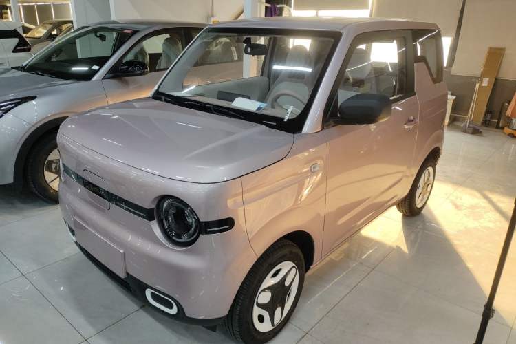 Used  Panda 2025 210 km – Yuanqi Bear

