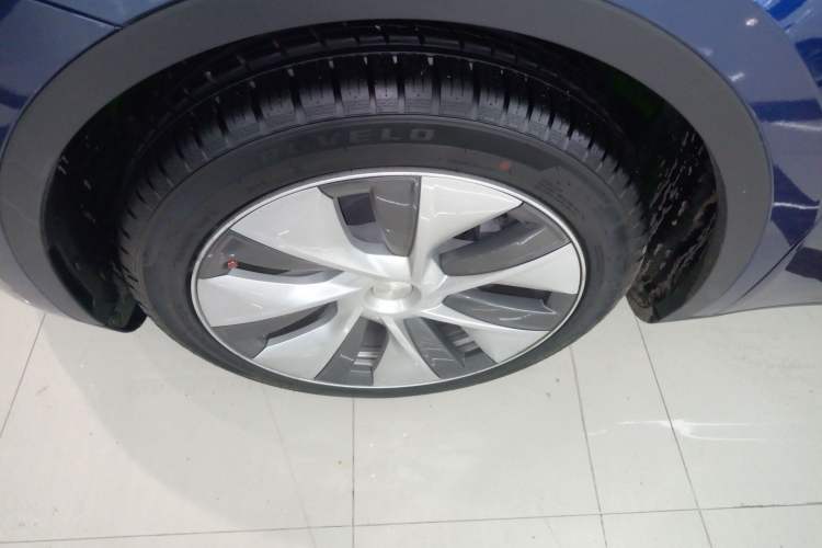 Used Tesla Model Y 2021 Standard Range Rear-Wheel Drive Version
