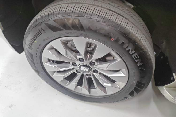 Used Tank 500 New Energy 2025 Hi4-Z
