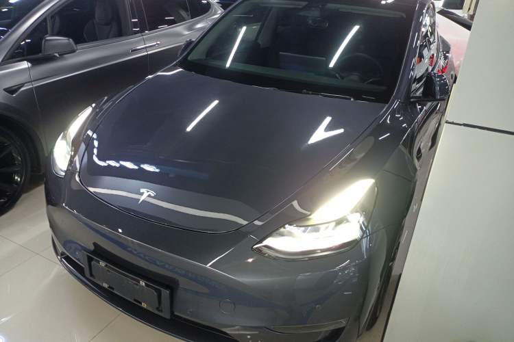 Used Tesla Model Y 2021 Standard Range Rear-Wheel Drive Version