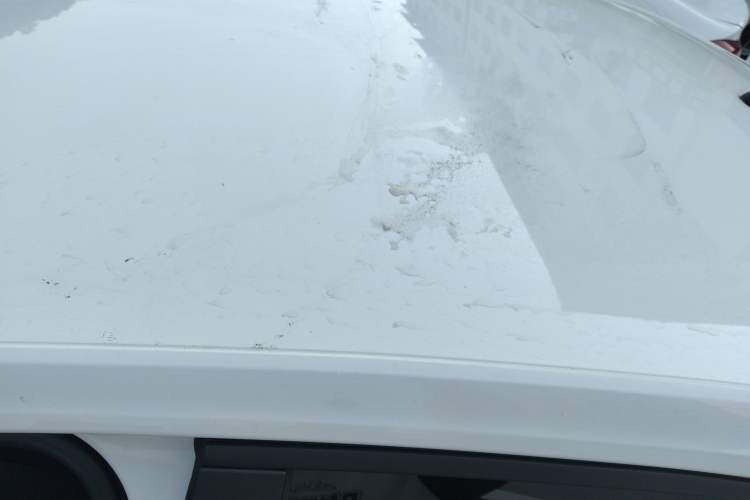 Used Volkswagen Lavida 2019 Lavida Start 1.5L Automatic Trendy Version China VI Standard