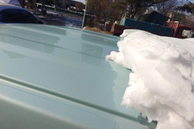 Used  Panda 2024 Panda Mini 200km Endurance Bear