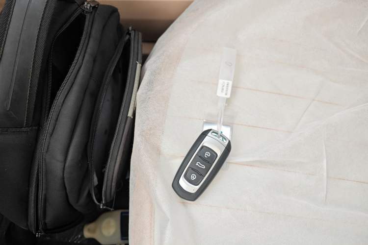 Used  Panda 2024 Panda Mini 200km Endurance Bear
