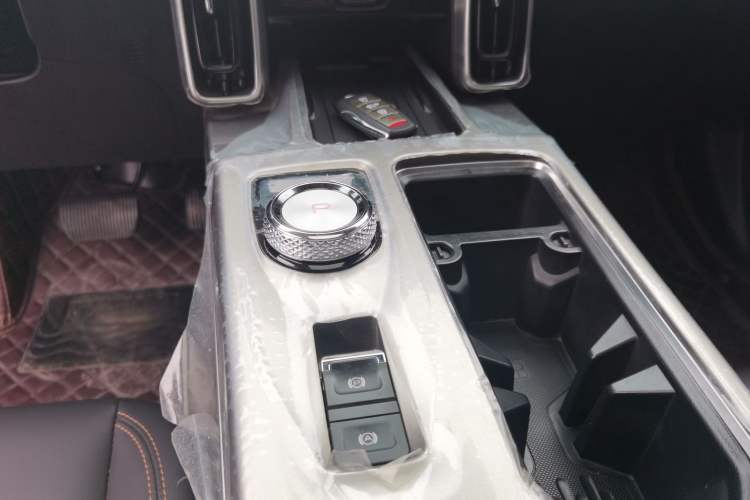 Used Haval DARGO 2024 2.0T DCT Chinese Rural Dog Edition
