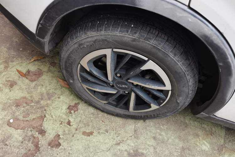 Used NETA V 2021 Long-Range Entertainment Edition Upgrade Model