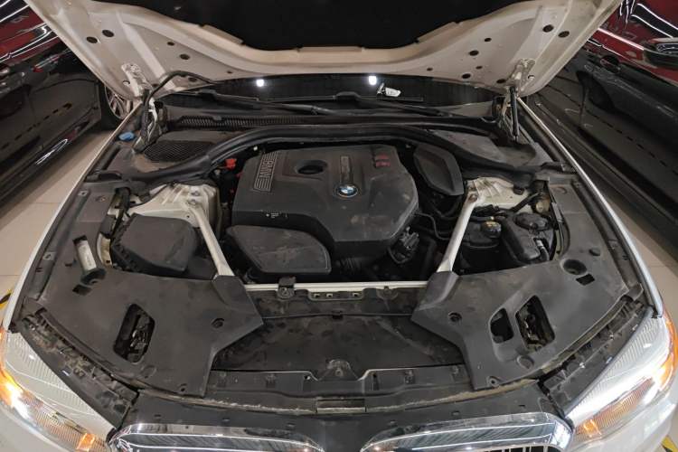 Used BMW 5 Series 2018 Revised Version 530Li Leading Edition Luxury Package
