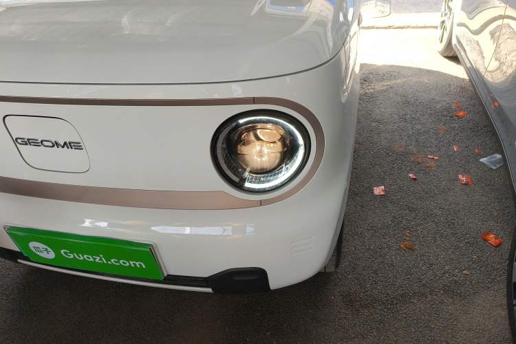 Used  Panda 2023 Panda Mini 200km Endurance Bear
