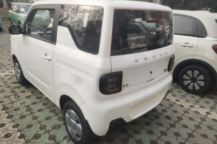 Used  Panda 2024 Panda Mini 200km Endurance Bear
