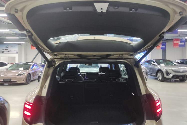 Used  #5 2025 Ultra-Long Range Luxury Four-Wheel Drive Edition