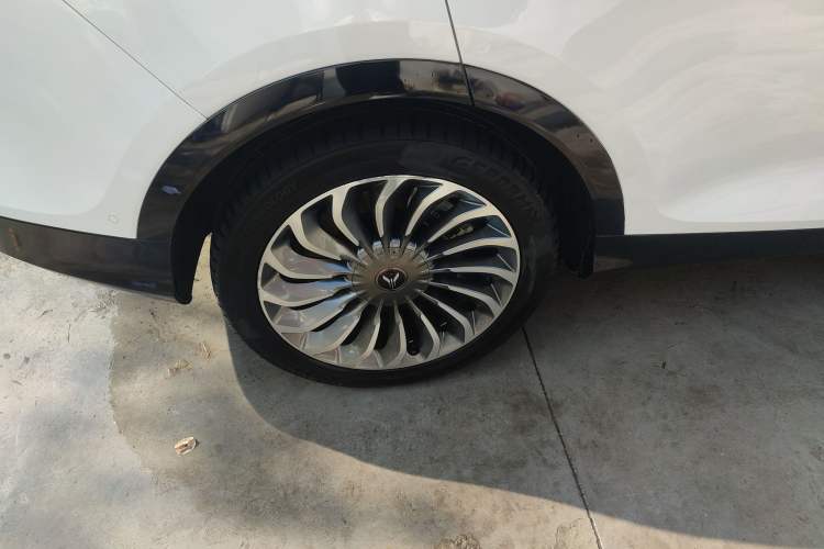 Used VOYAH FREE 2021 Four-Wheel Drive Standard All-Electric Exclusive Luxury Package
