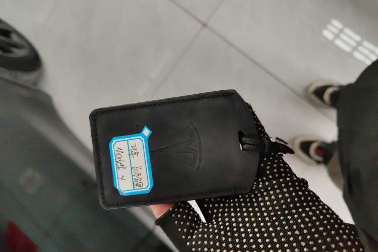 Used Tesla Model Y 2021 Standard Range Rear-Wheel Drive Version
