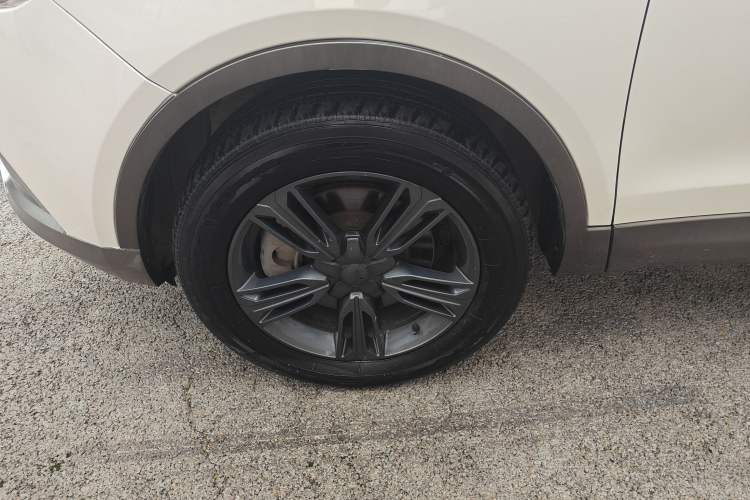 Used Leopaard CS10 2017 2.0T Automatic Urban Version
