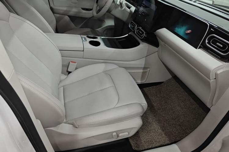 Used Leapmotor C11 2023 Pure Electric 500 Comfort Edition
