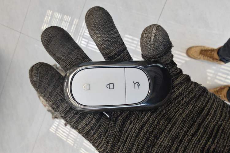 Used Leapmotor C11 2024 All-Electric 580 Luxury Edition