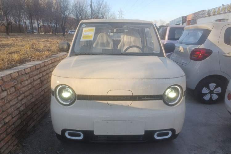 Used  Panda 2025 210 km – Yuanqi Bear