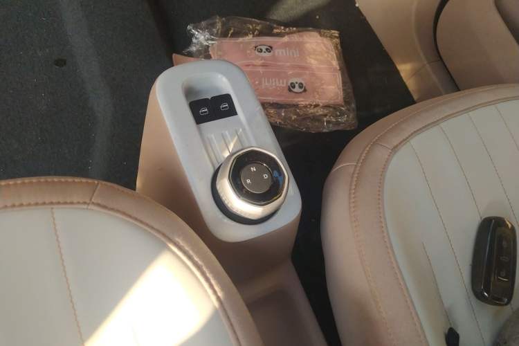 Used  Panda 2024 200km Panda Kart
