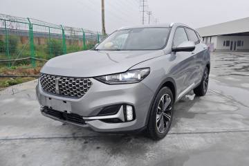 Used Wey VV6 2021 2.0T Two-Wheel Drive Smart Protection+