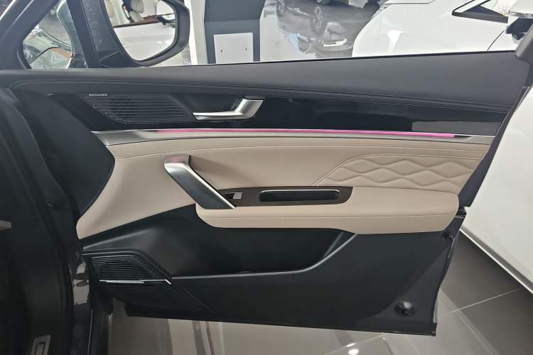 Used BYD Tang New Energy 2024 DM-p Champion Edition 215KM Four-Wheel Drive Deluxe Model
