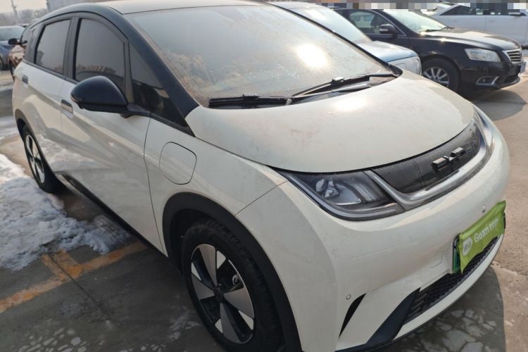 Used BYD Dolphin 2023 420 km Fashion Edition