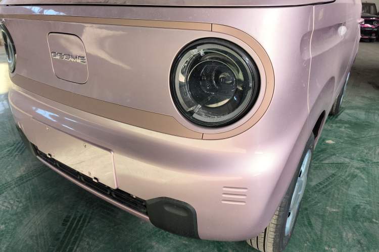 Used  Panda 2024 Panda Mini 200km Endurance Bear
