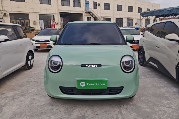 Used Qiyuan Lumin 2023 205km Xiangqin Version