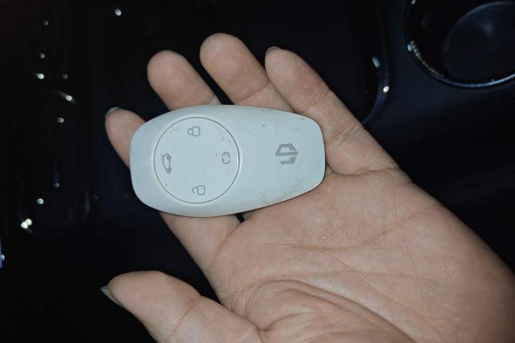 Used Leapmotor C11 2021 Deluxe Edition
