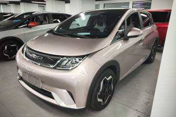 Used BYD Dolphin 2021 405 km Fashion Edition