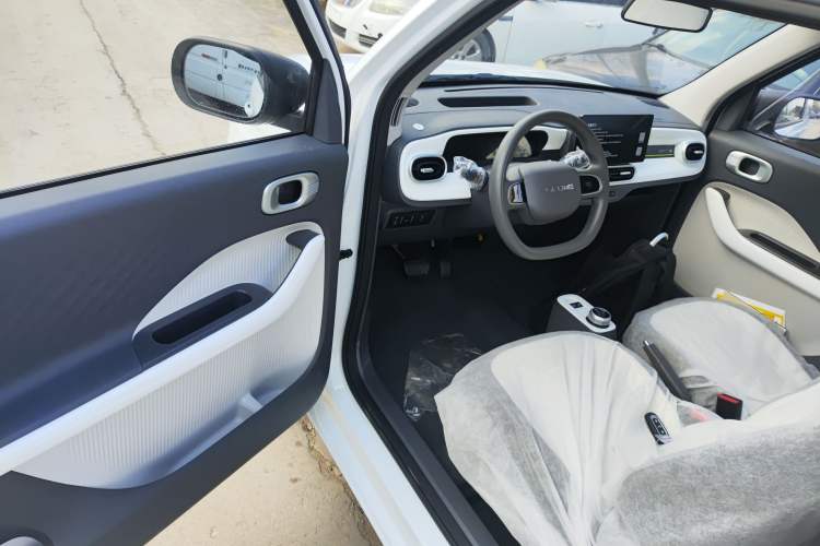 Used  Panda 2025 210 km – Yuanqi Bear
