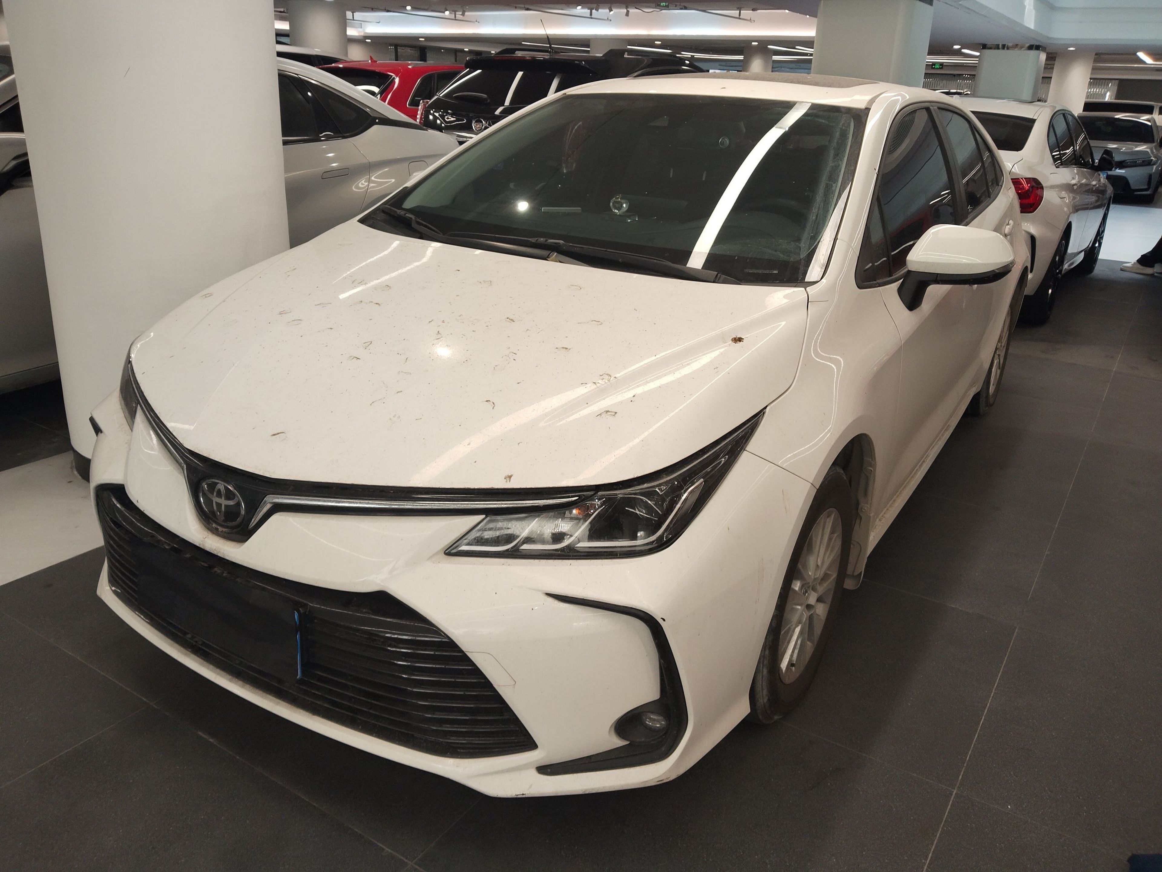 تحت مقدمة السيارة