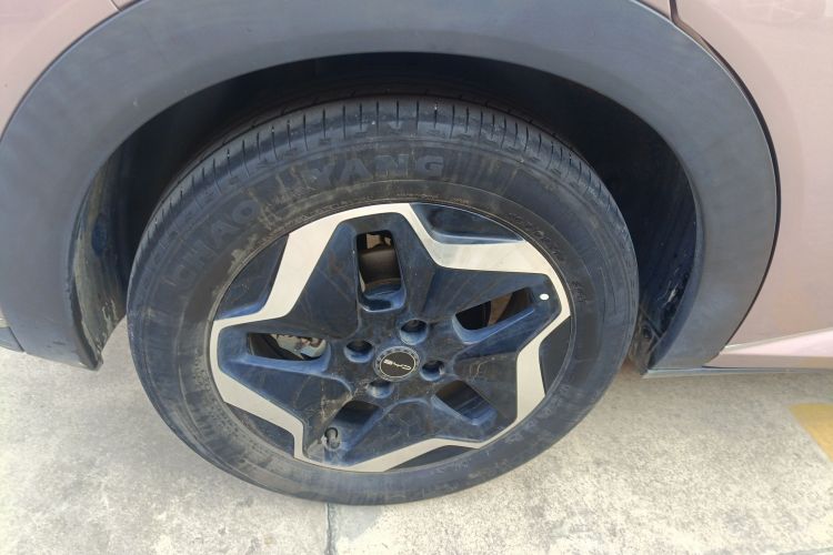 Used BYD Dolphin 2021 405 km Free Version