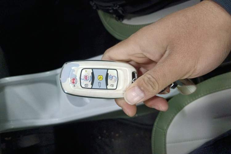 Used  Panda 2025 210km Panda Rider
