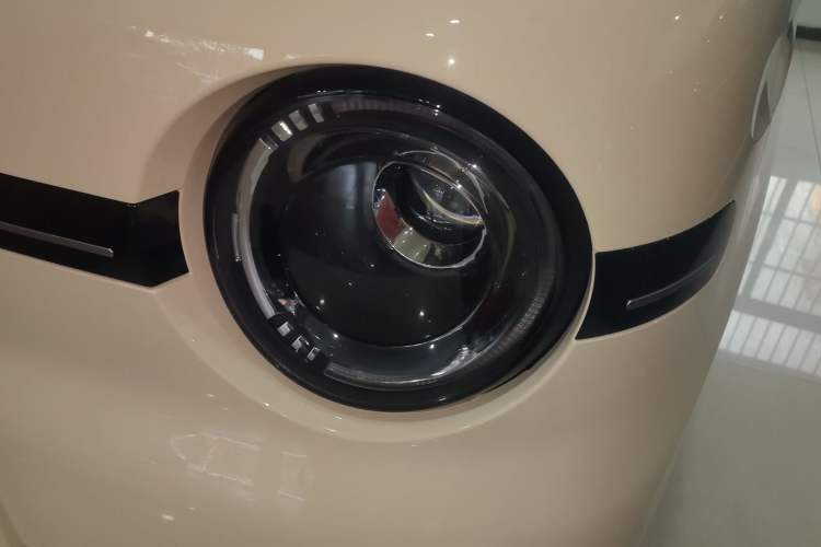 Used  Panda 2025 210 km – Yuanqi Bear
